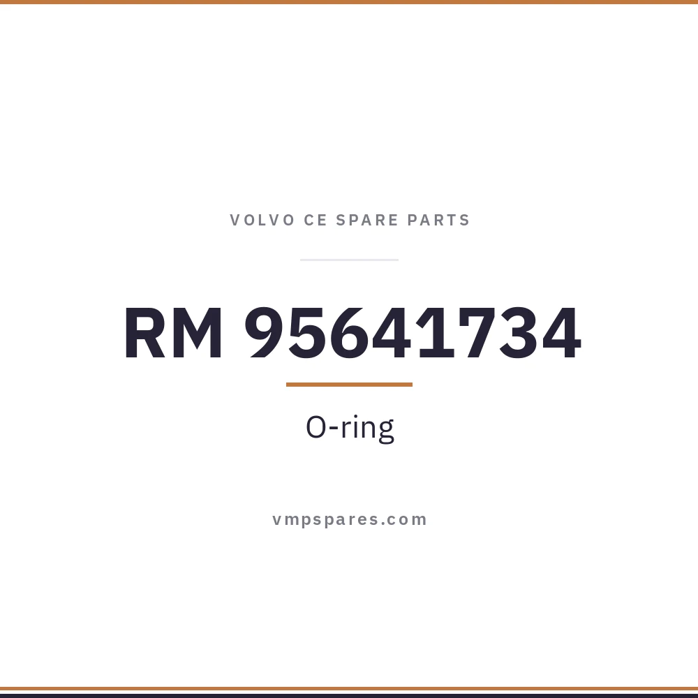 RM 95641734 – O-ring