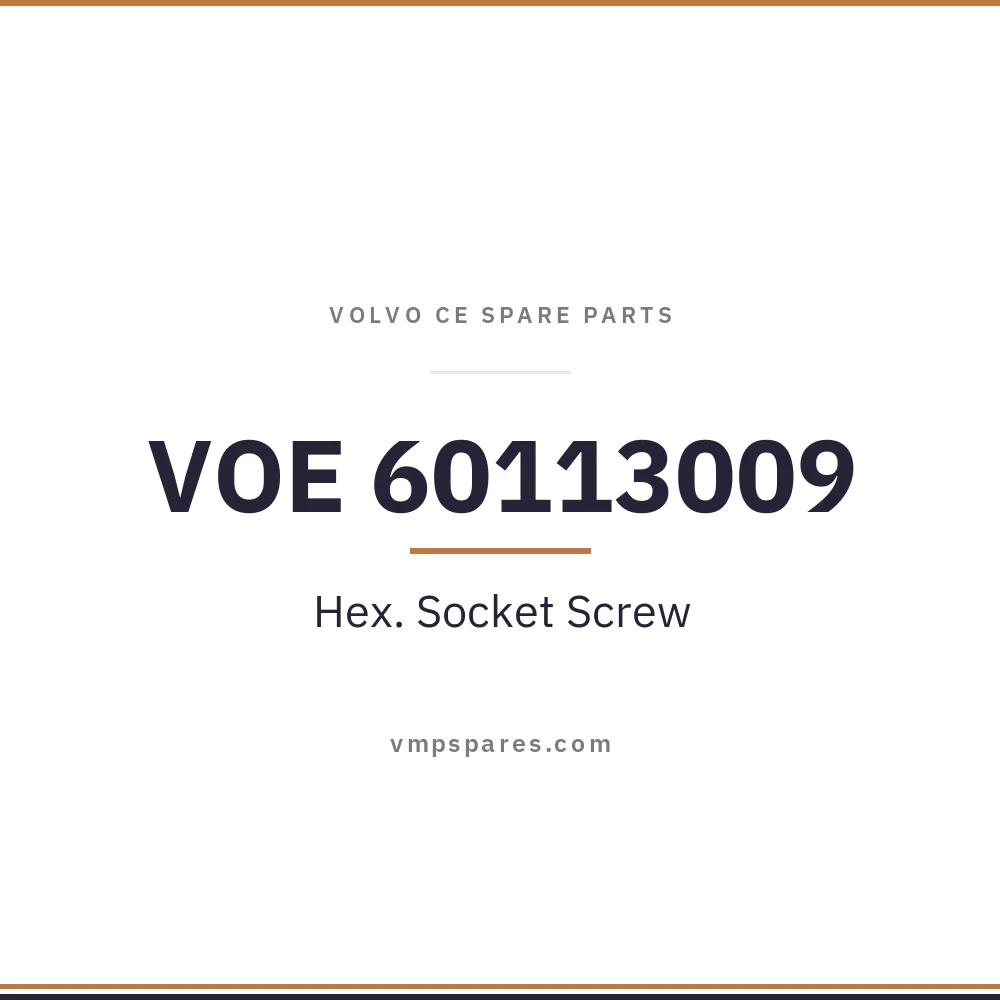 VOE 60113009 – Hex. Socket Screw