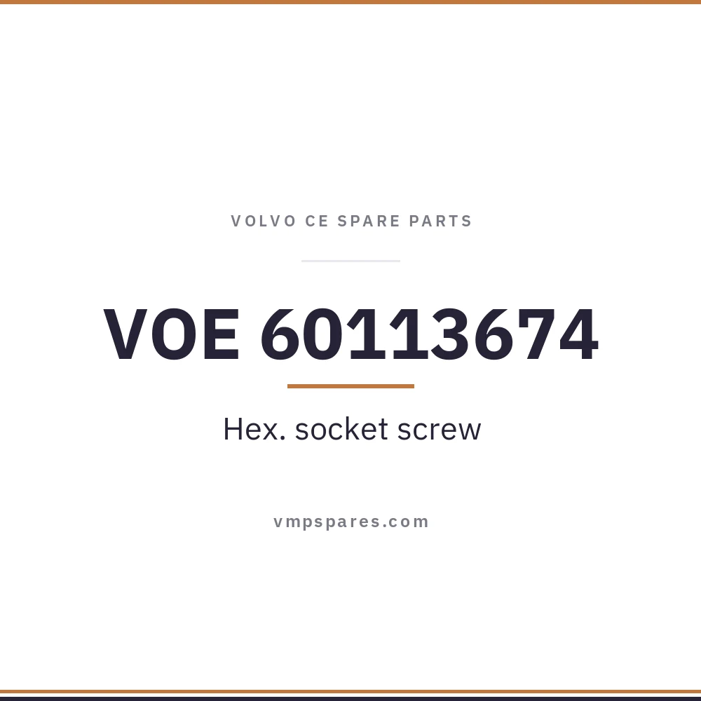 VOE 60113674 – Hex. socket screw