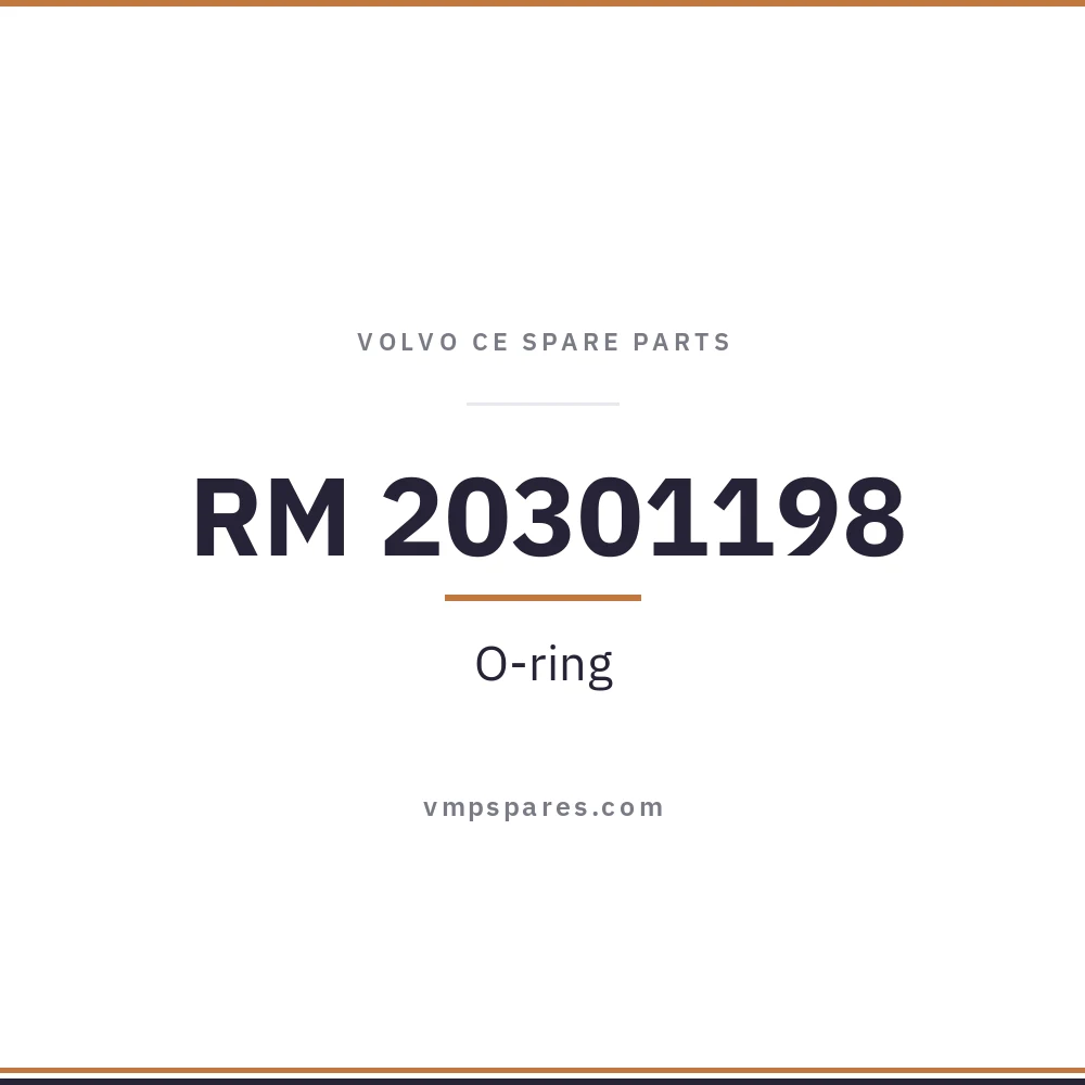 RM 20301198 – O-ring