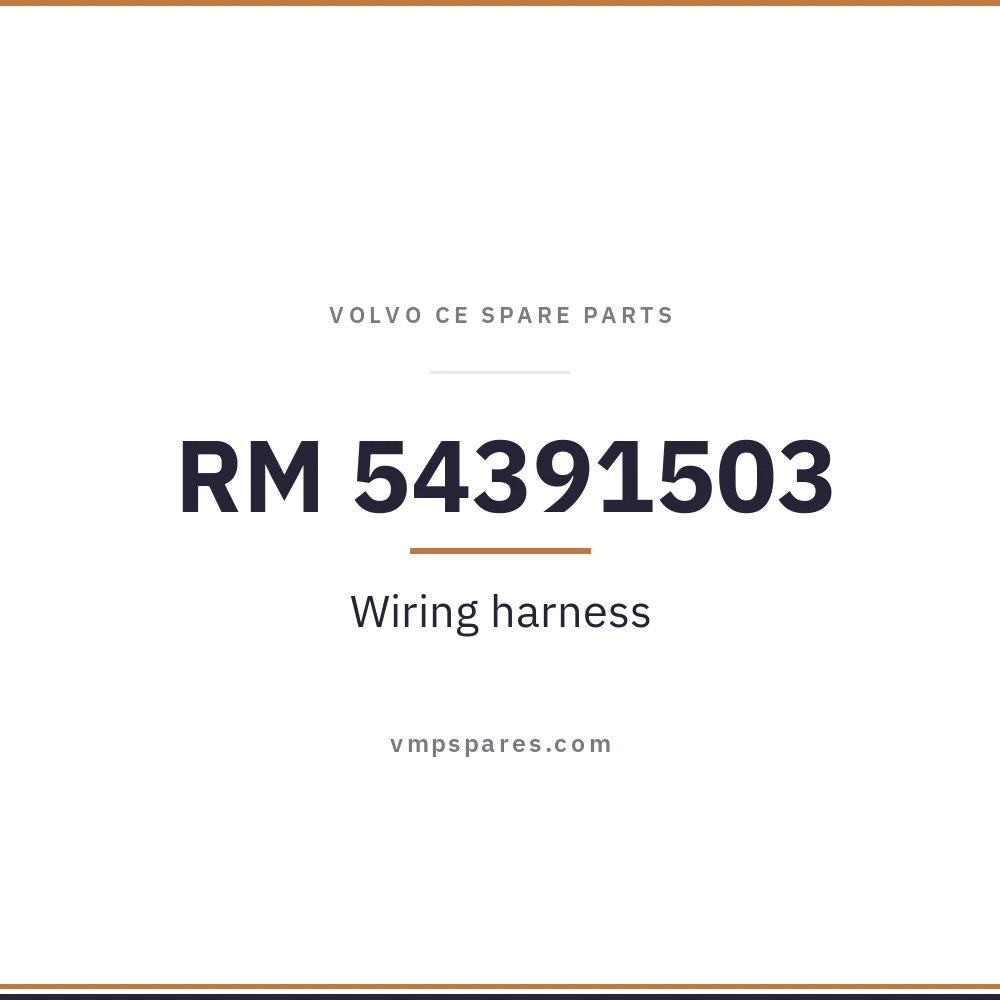 RM 54391503 – Wiring harness