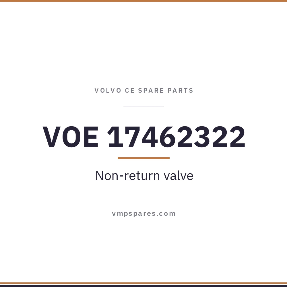 VOE 17462322 – Non-return valve