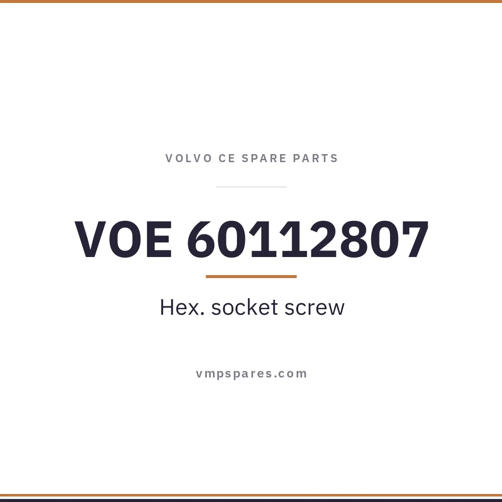 VOE 60112807 – Hex. socket screw