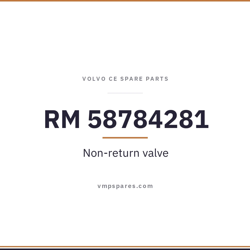 RM 58784281 – Non-return valve