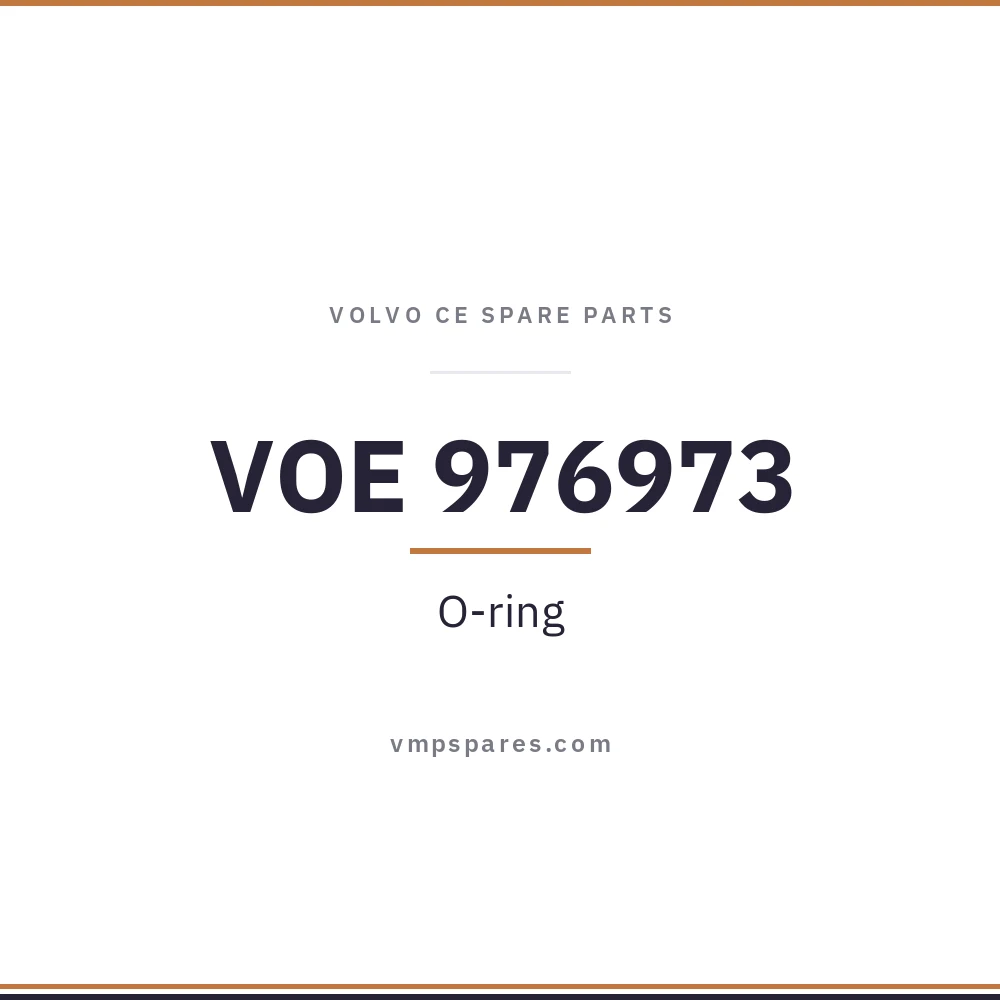 VOE 976973 – O-ring
