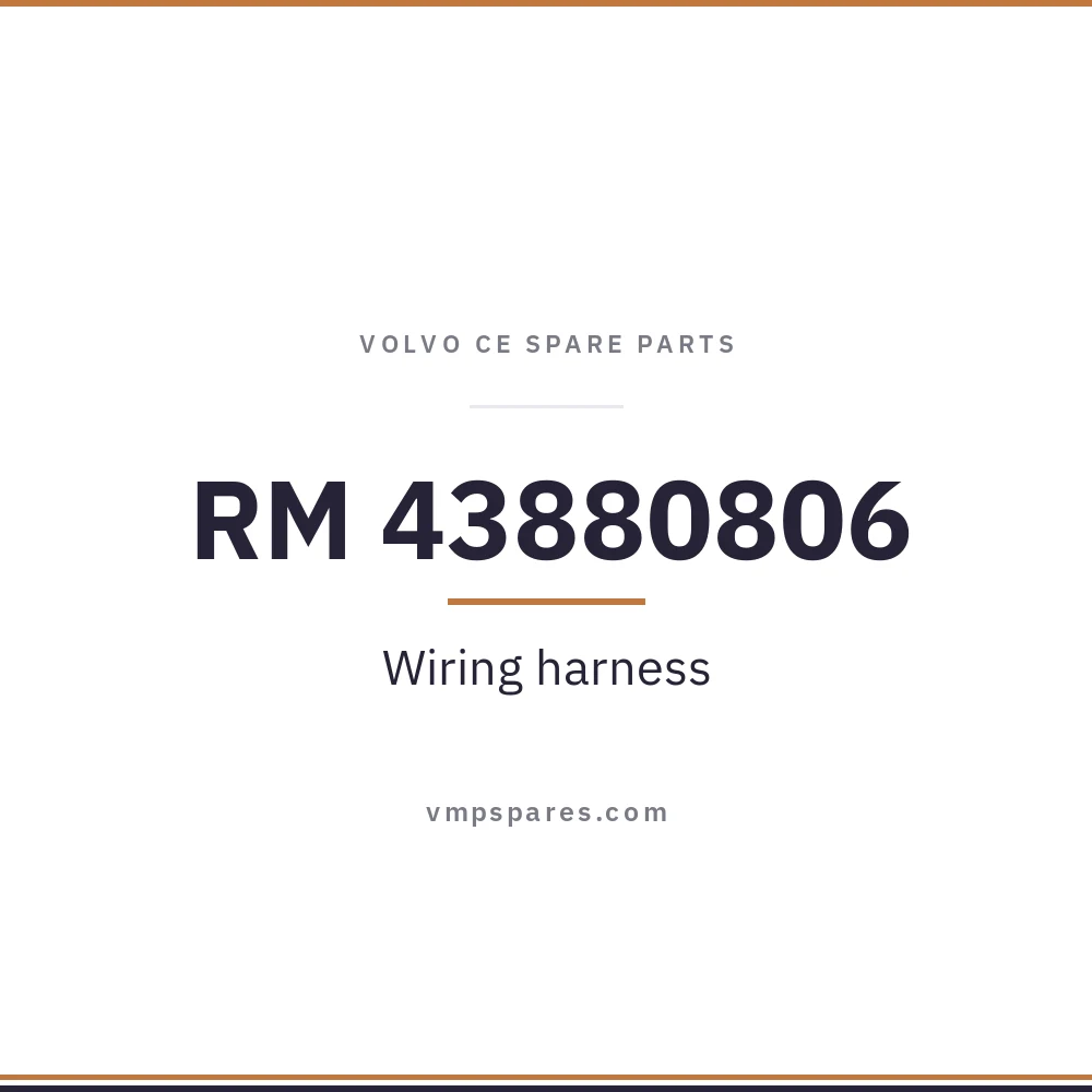 RM 43880806 – Wiring harness