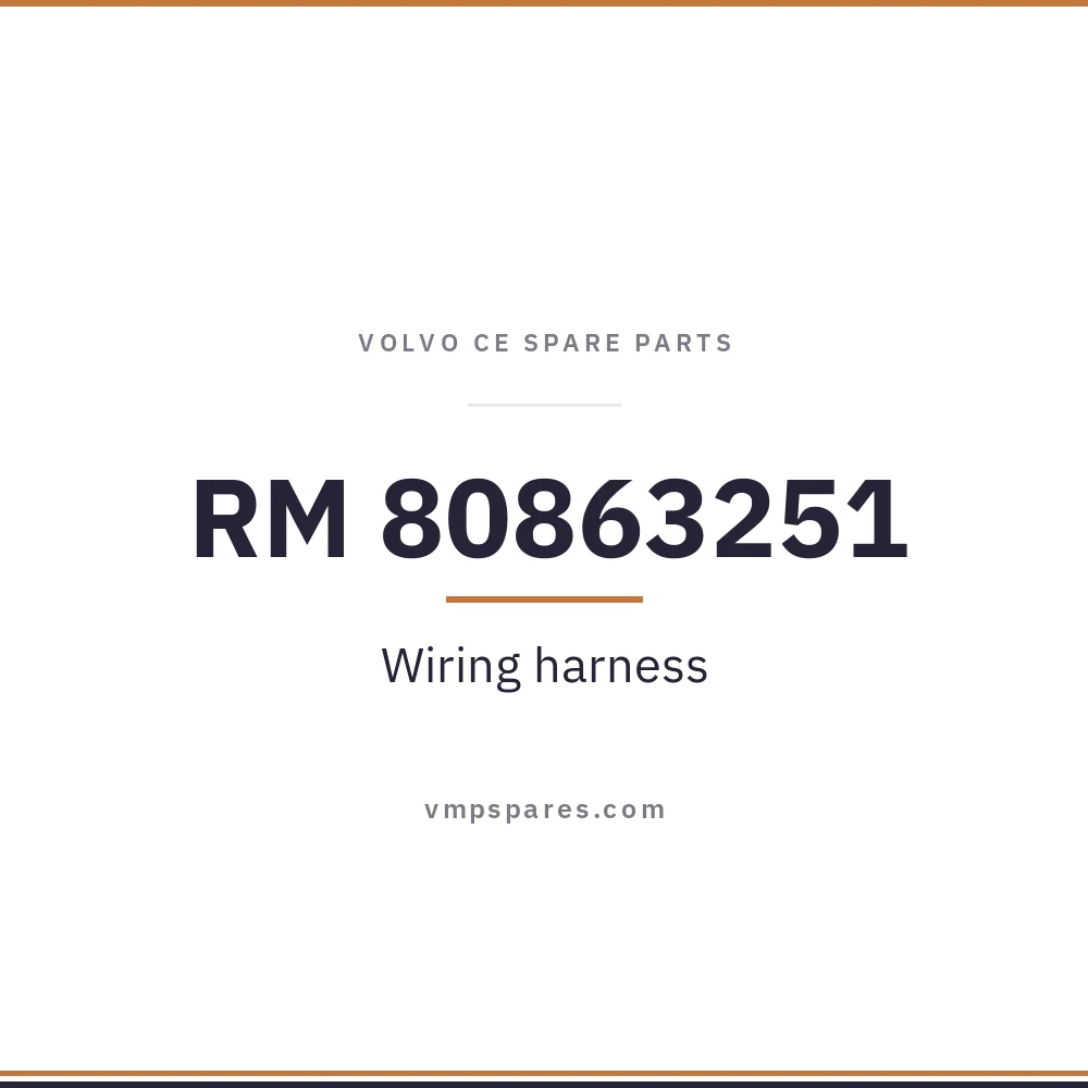 RM 80863251 – Wiring harness