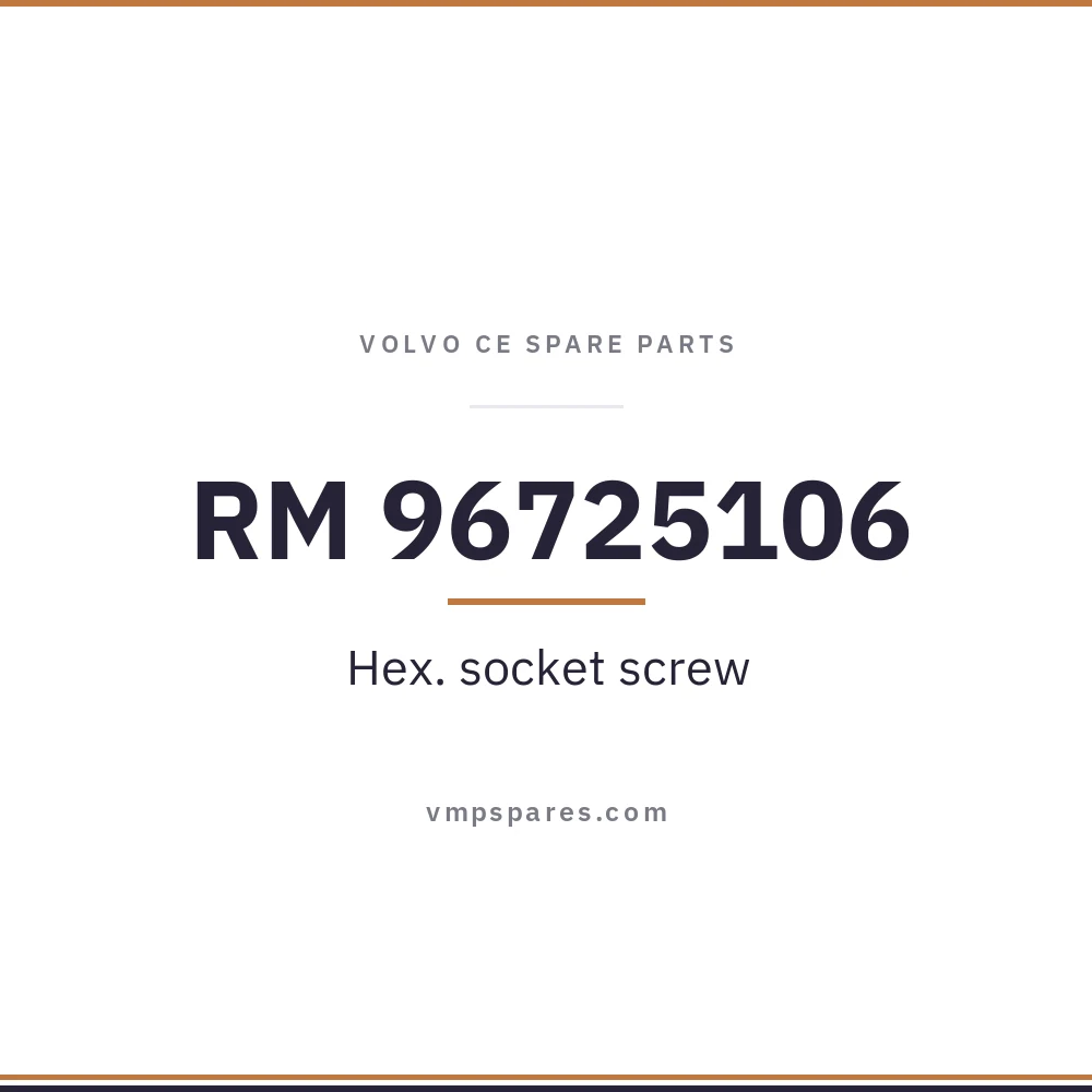 RM 96725106 – Hex. socket screw