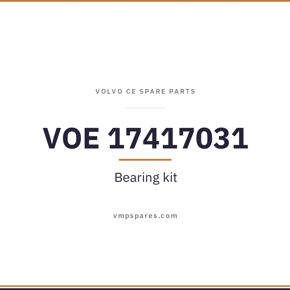 VOE 17417031 – Bearing kit