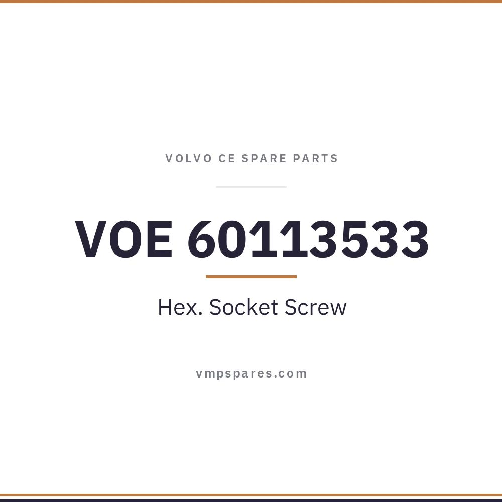 VOE 60113533 – Hex. Socket Screw