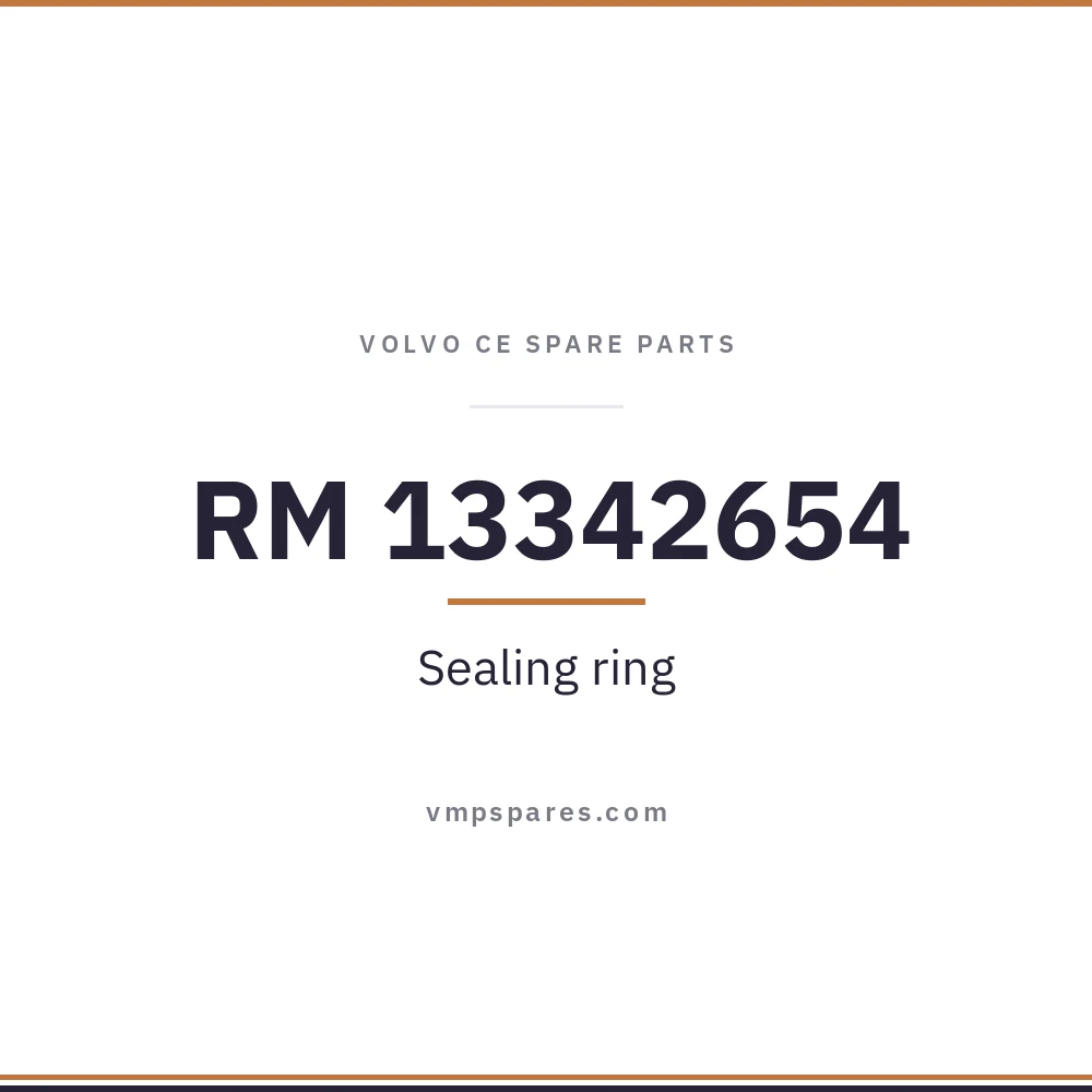 RM 13342654 – Sealing ring