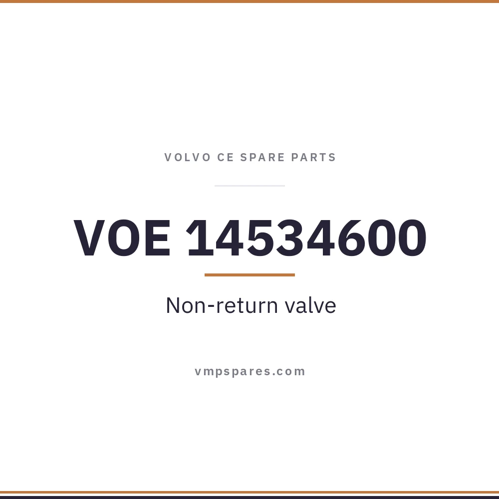 VOE 14534600 – Non-return valve