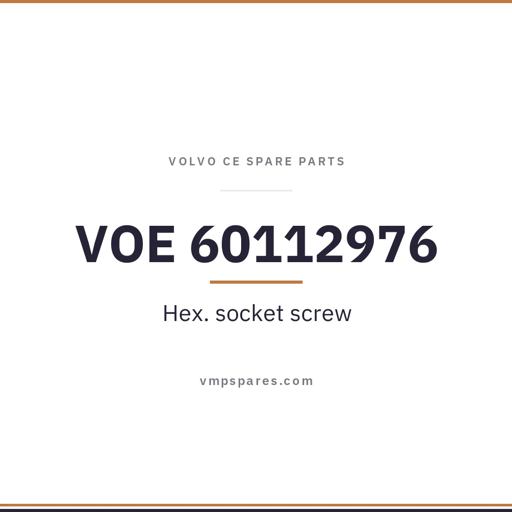 VOE 60112976 – Hex. socket screw