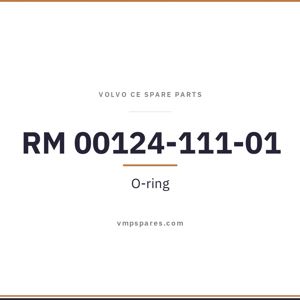RM 00124-111-01 – O-ring