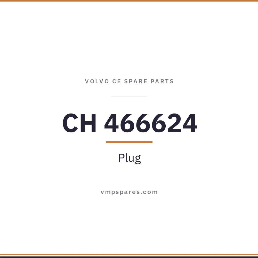 CH 466624 – Plug