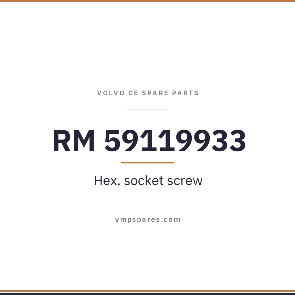 RM 59119933 – Hex. socket screw