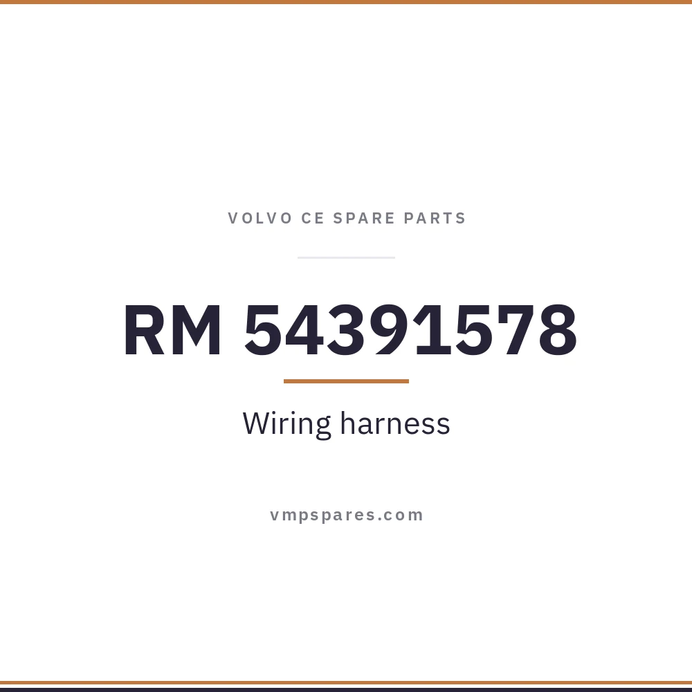 RM 54391578 – Wiring harness