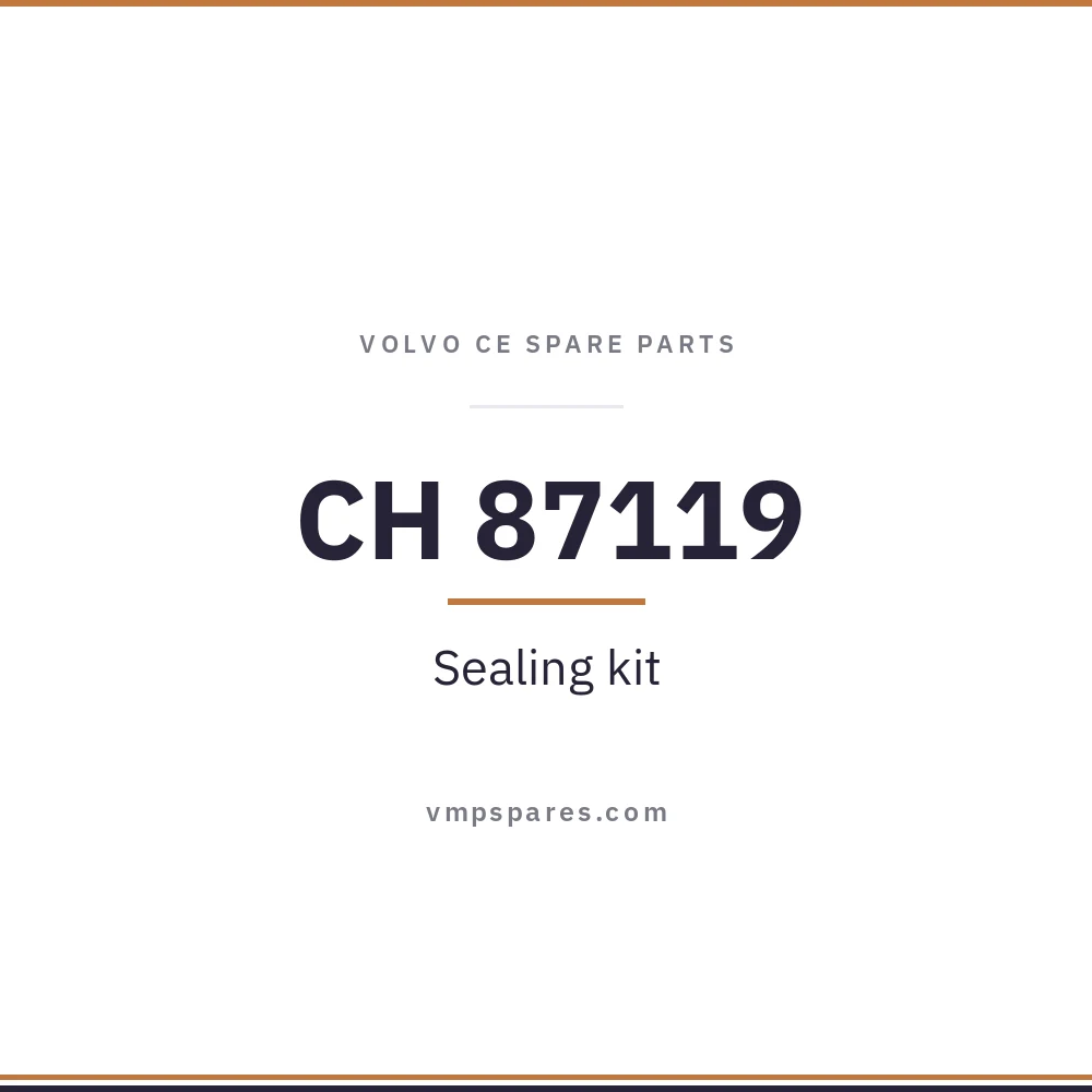 CH 87119 – Sealing kit