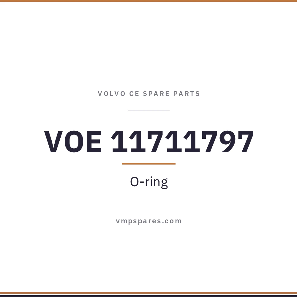 VOE 11711797 – O-ring