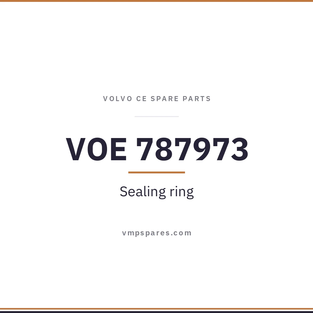 VOE 787973 – Sealing ring