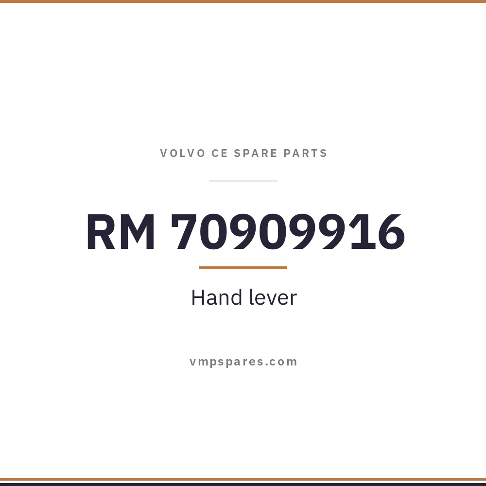 RM 70909916 – Hand lever