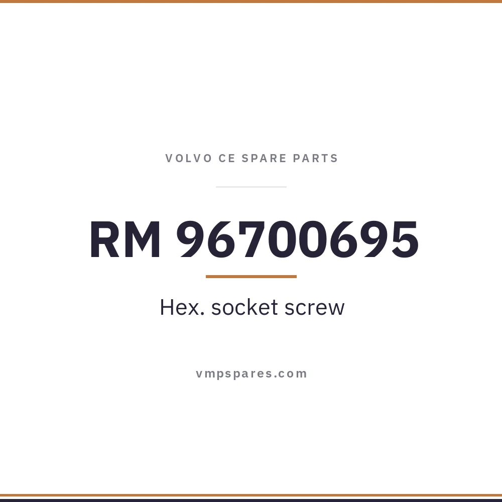 RM 96700695 – Hex. socket screw