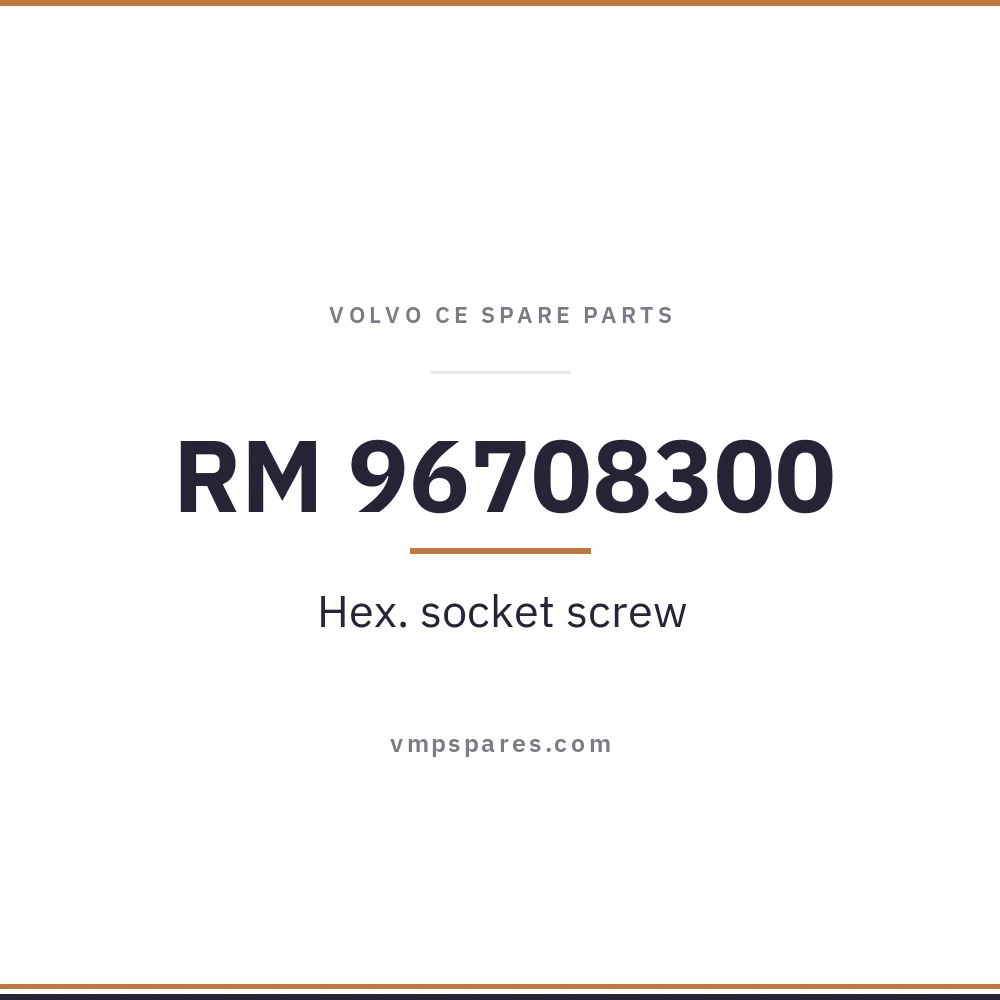 RM 96708300 – Hex. socket screw
