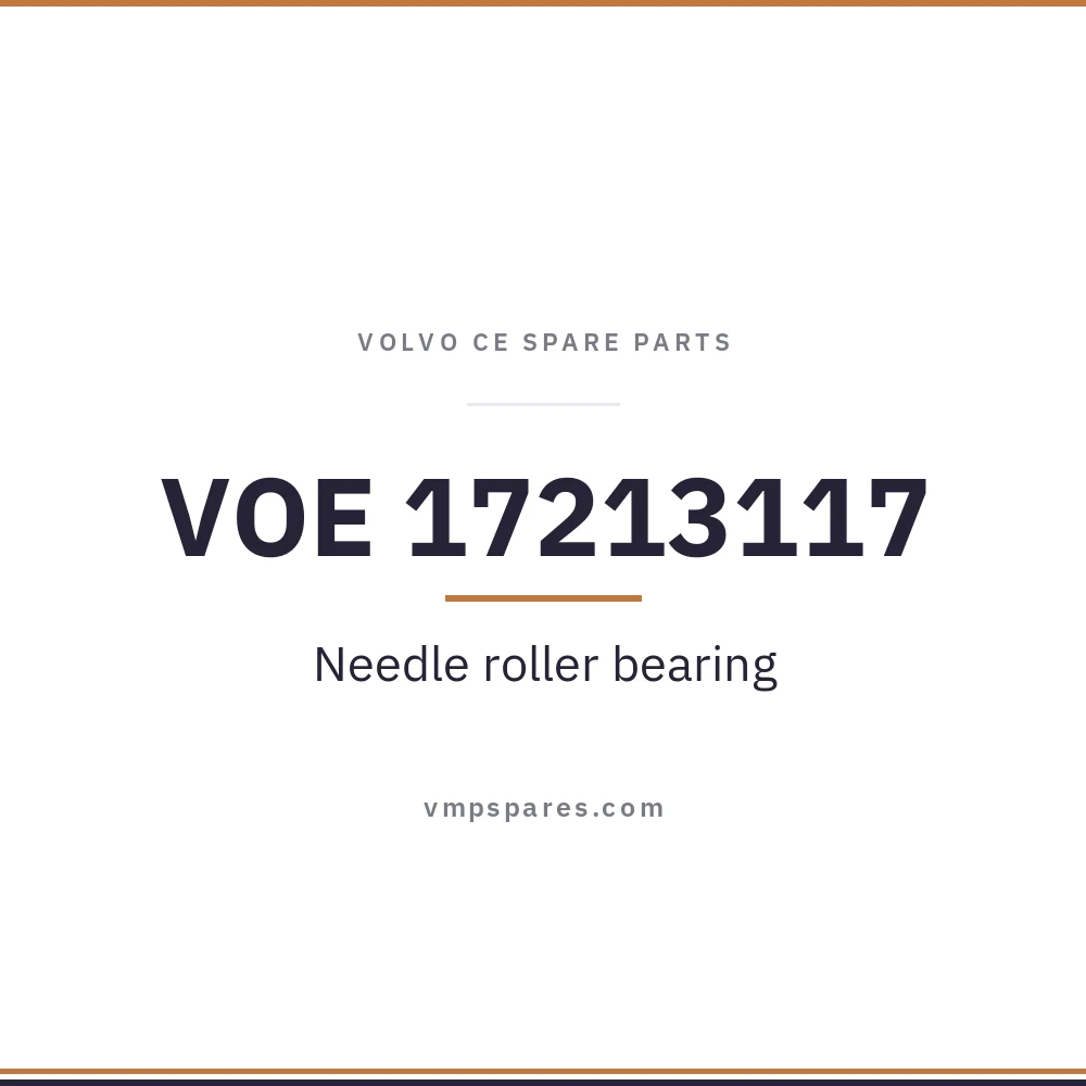 VOE 17213117 – Needle roller bearing