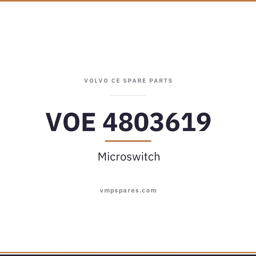 VOE 4803619 – Microswitch