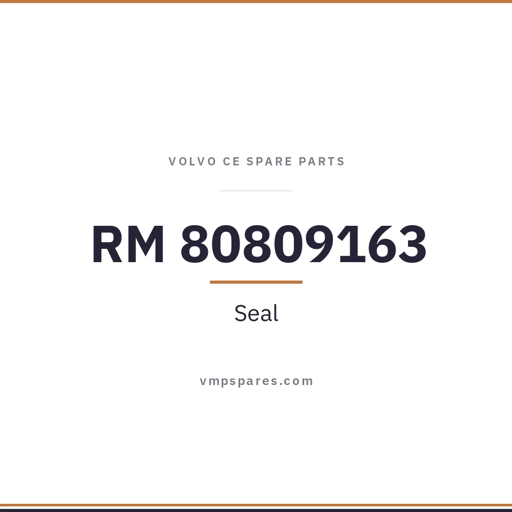 RM 80809163 – Seal