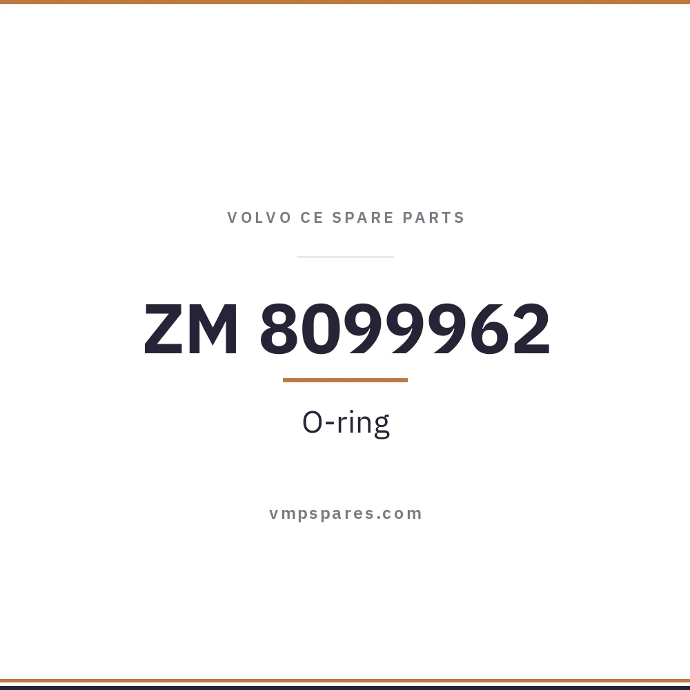 ZM 8099962 – O-ring