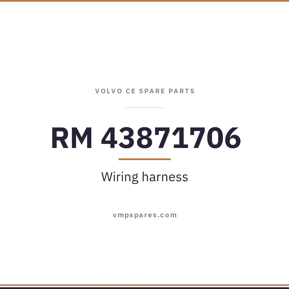 RM 43871706 – Wiring harness