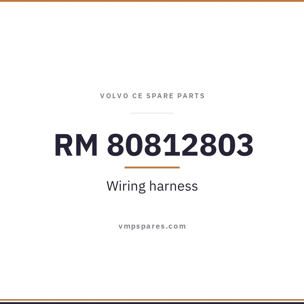 RM 80812803 – Wiring harness