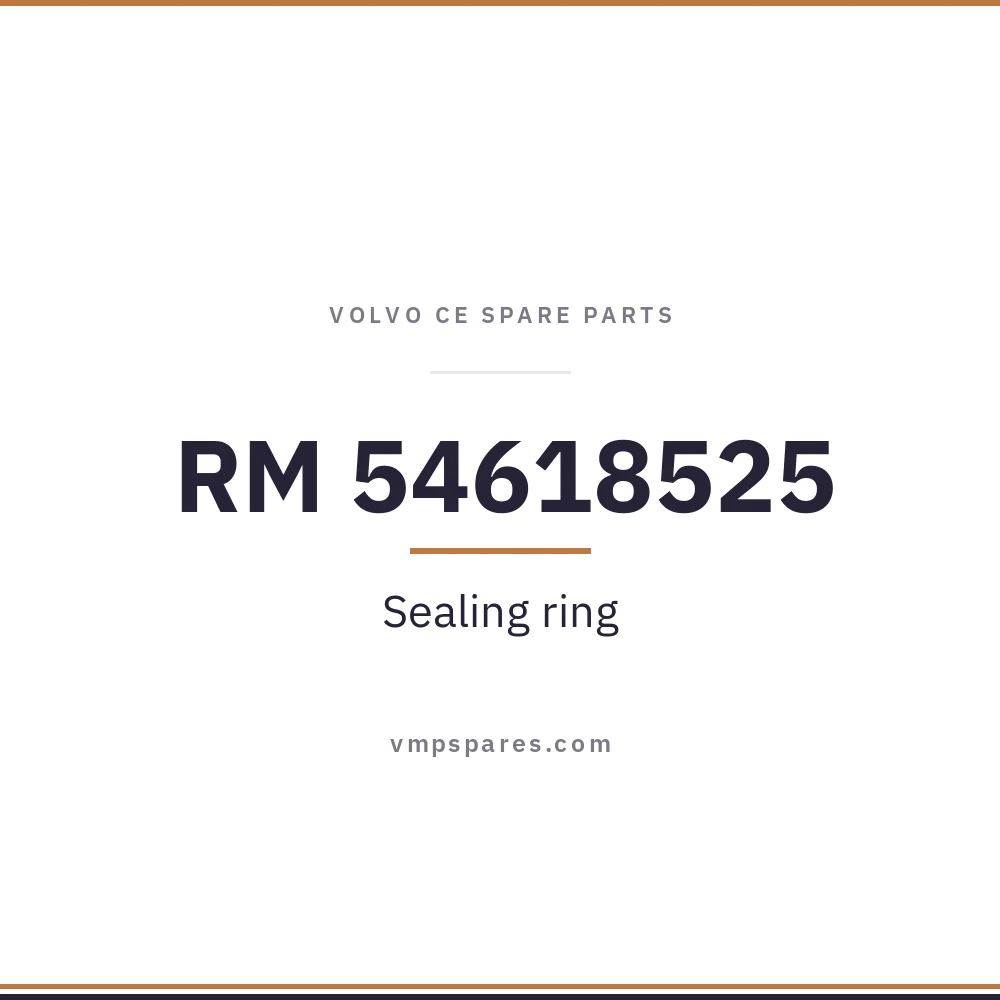RM 54618525 – Sealing ring