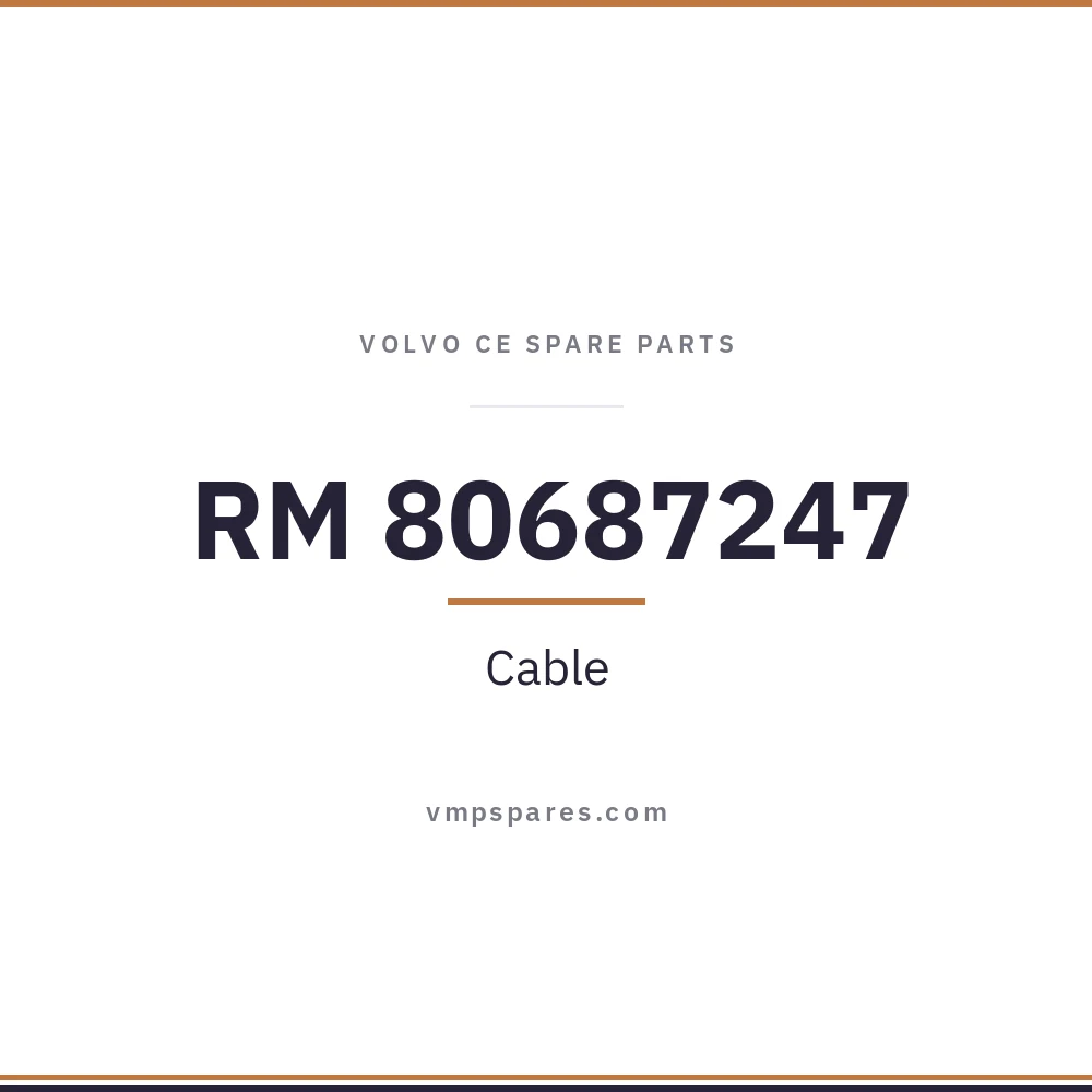 RM 80687247 – Cable