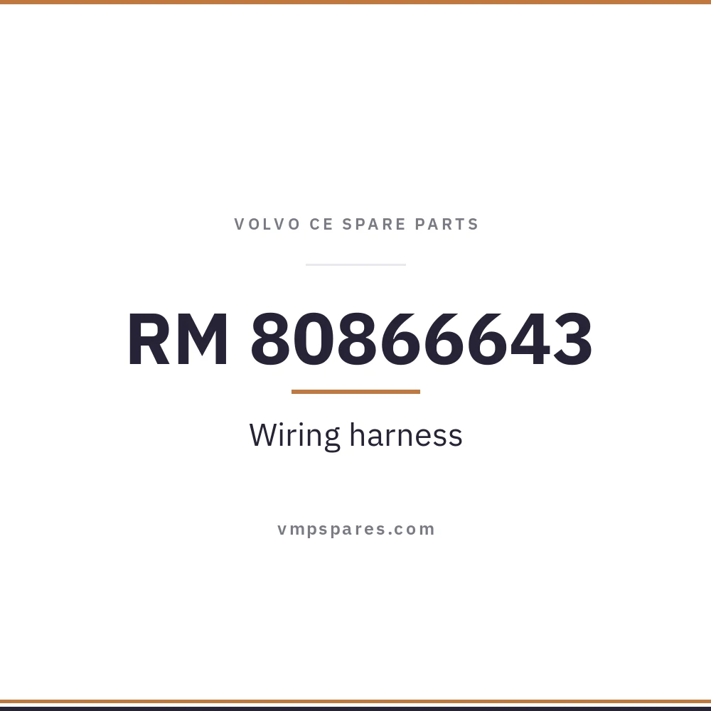 RM 80866643 – Wiring harness