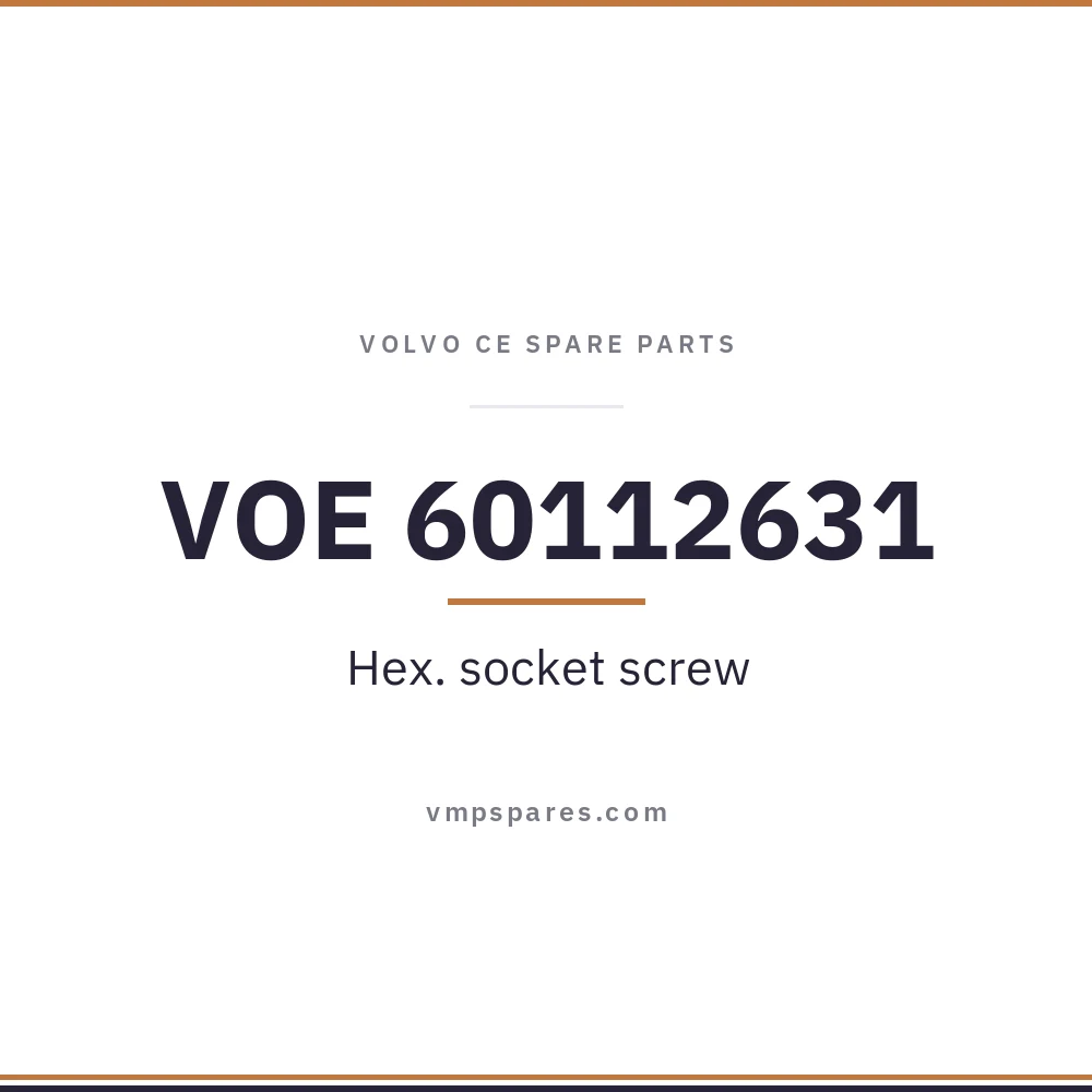 VOE 60112631 – Hex. socket screw