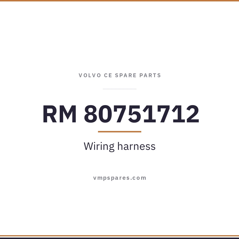 RM 80751712 – Wiring harness