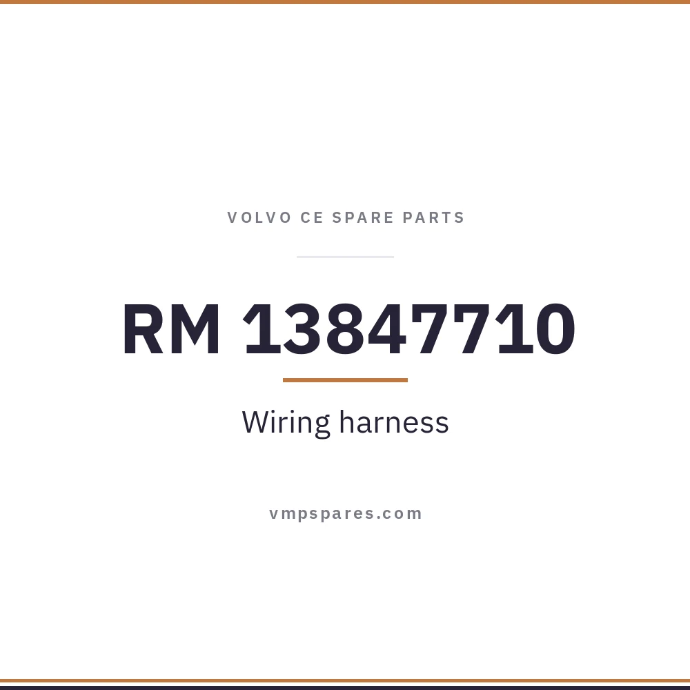 RM 13847710 – Wiring harness