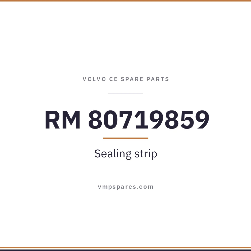 RM 80719859 – Sealing strip