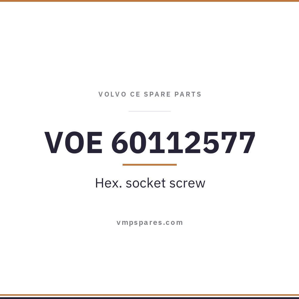 VOE 60112577 – Hex. socket screw