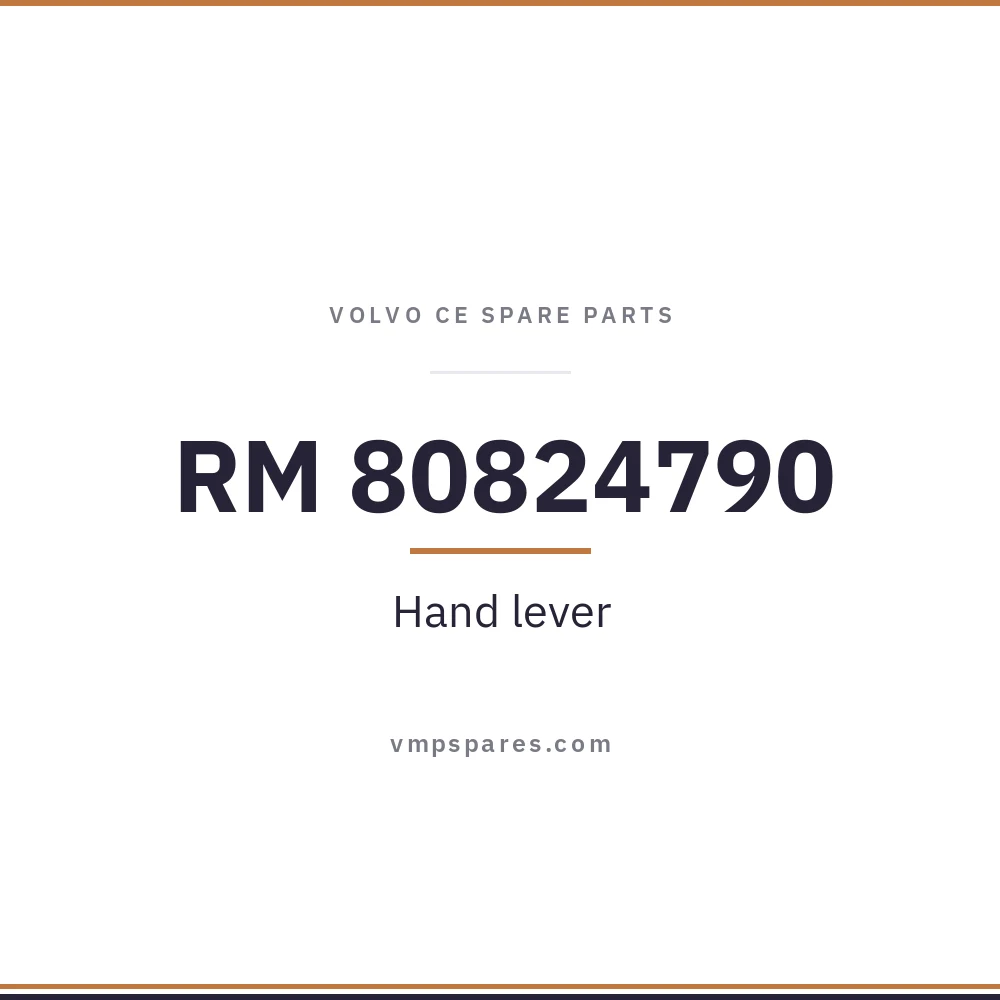 RM 80824790 – Hand lever