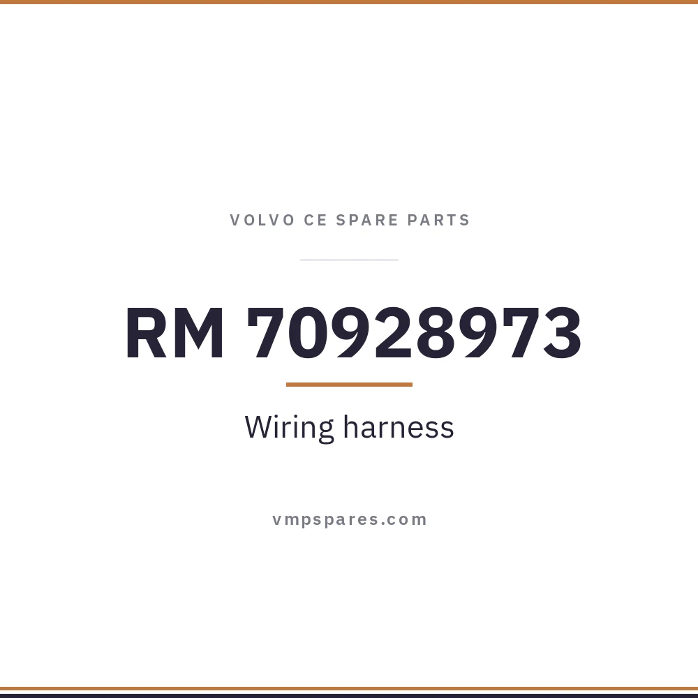 RM 70928973 – Wiring harness