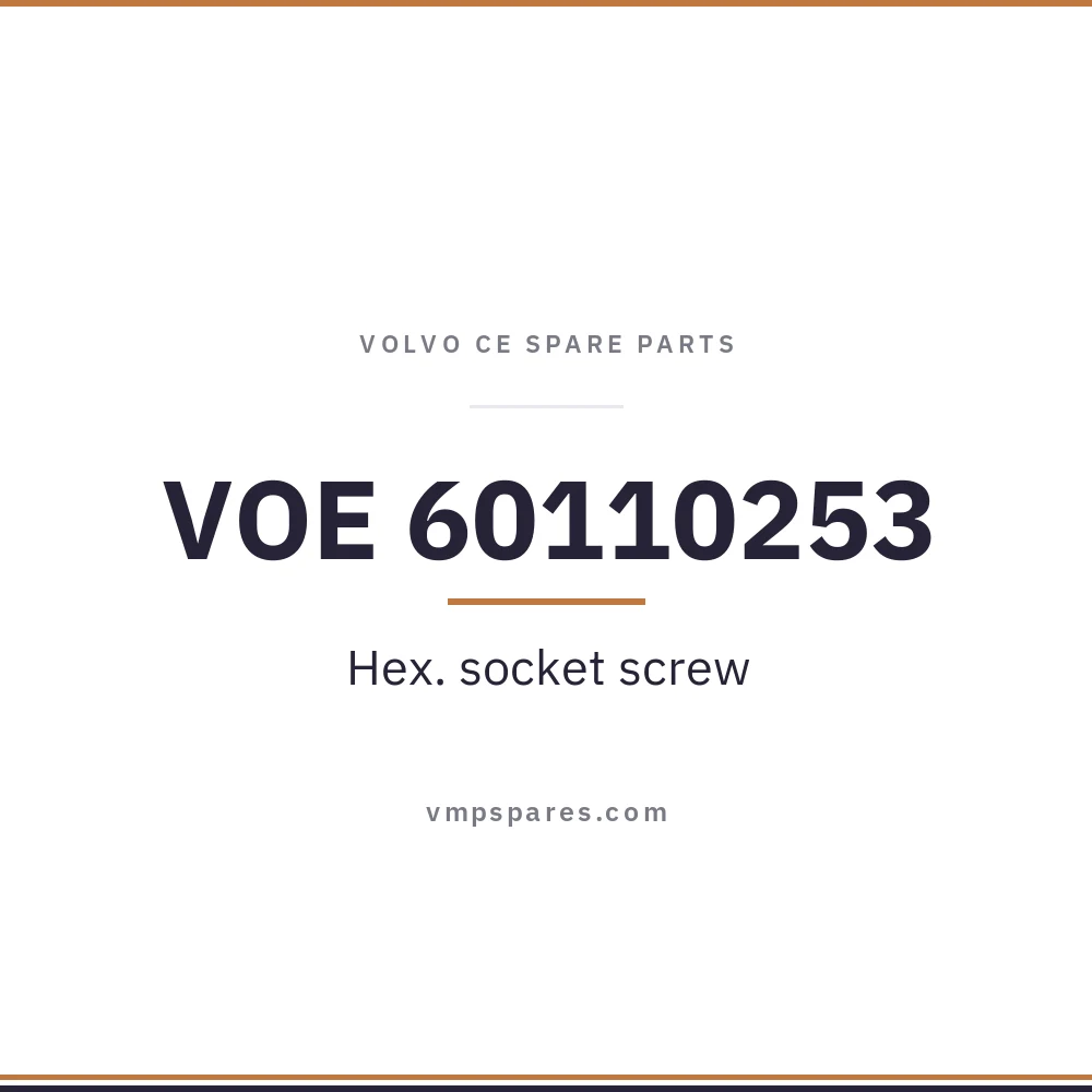 VOE 60110253 – Hex. socket screw