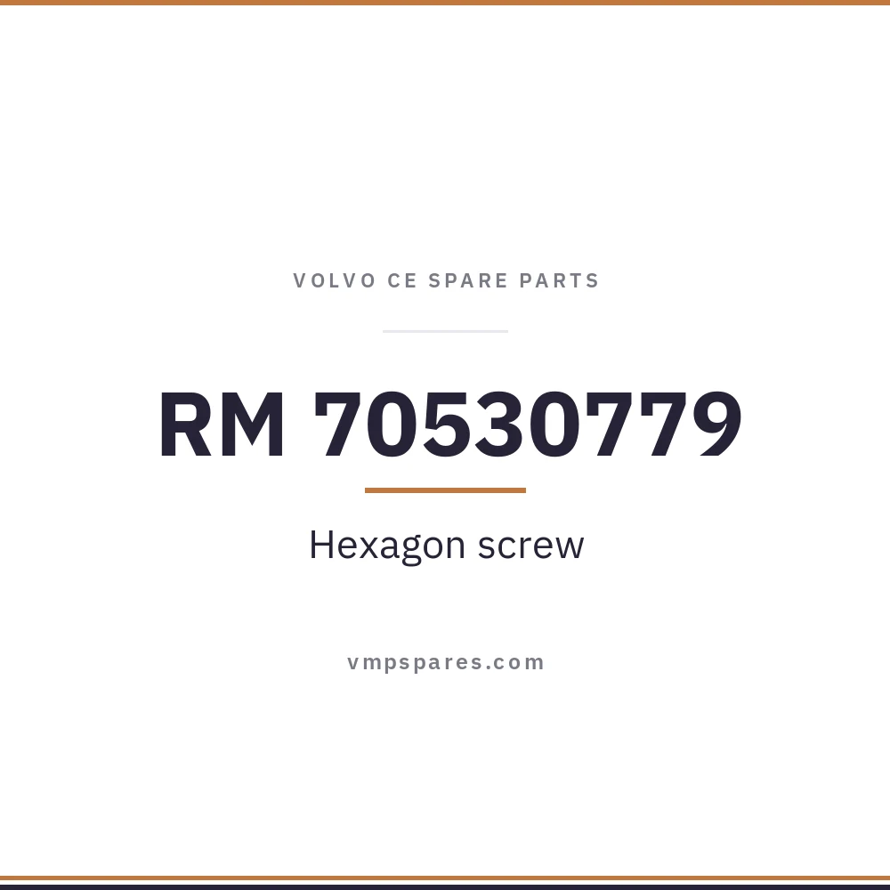 RM 70530779 – Hexagon screw
