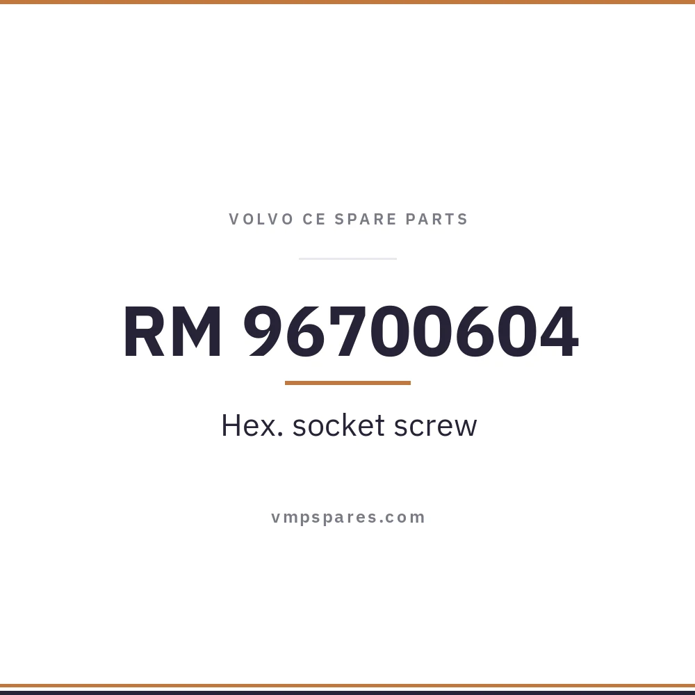 RM 96700604 – Hex. socket screw
