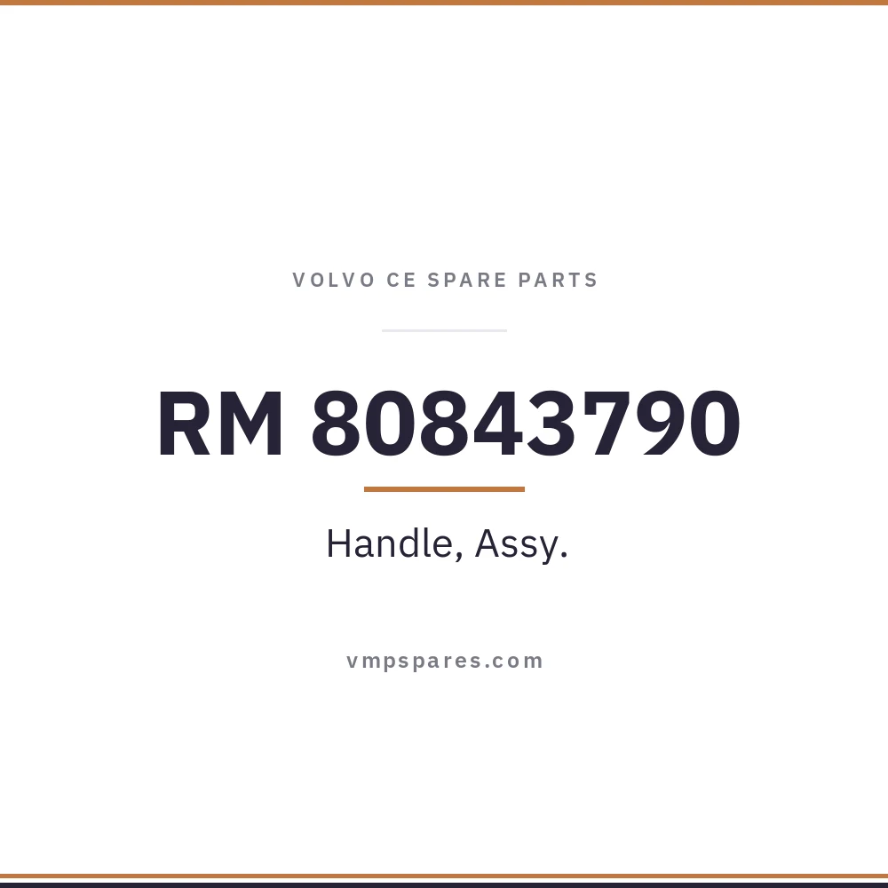 RM 80843790 – Handle, Assy.