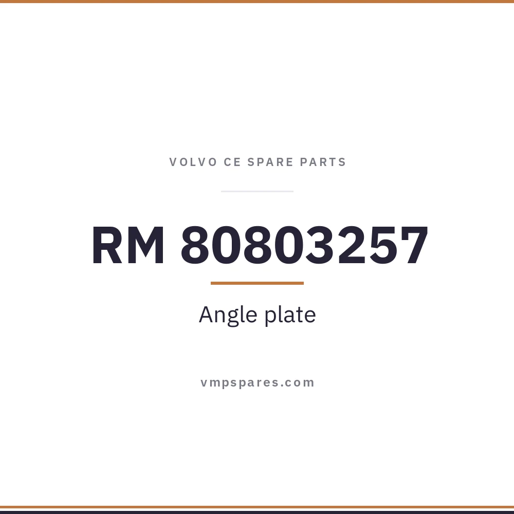 RM 80803257 – Angle plate