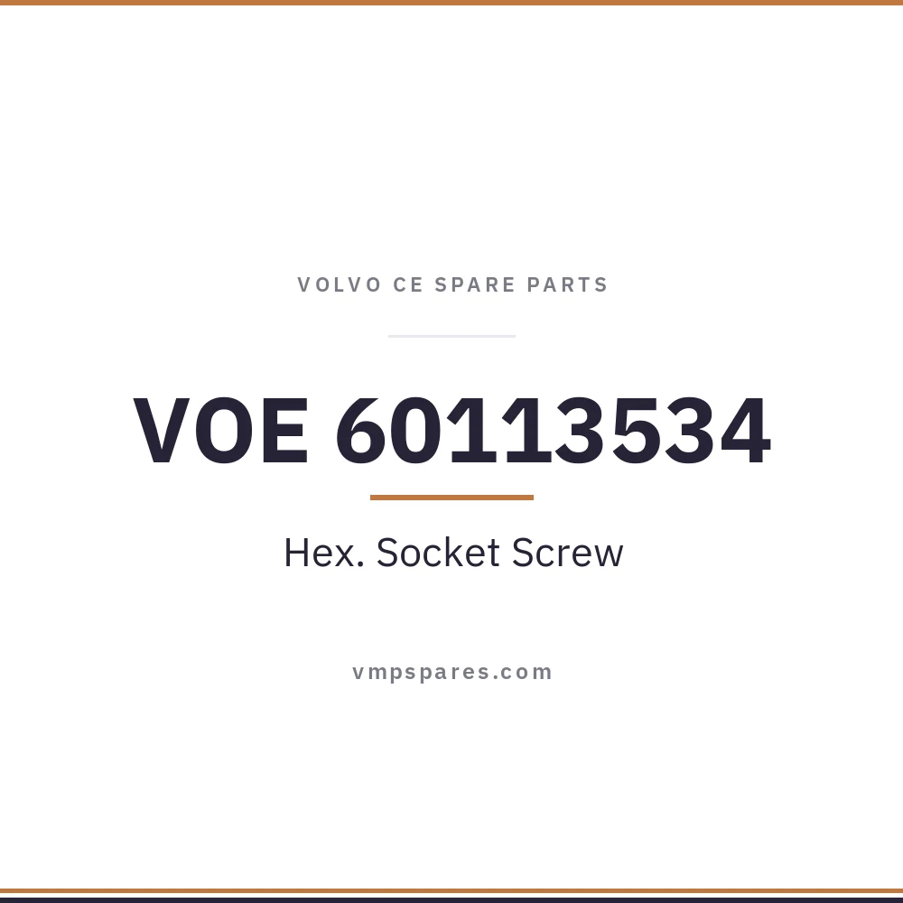 VOE 60113534 – Hex. Socket Screw