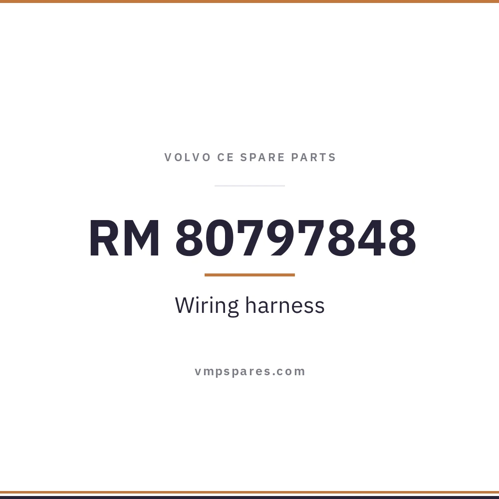 RM 80797848 – Wiring harness